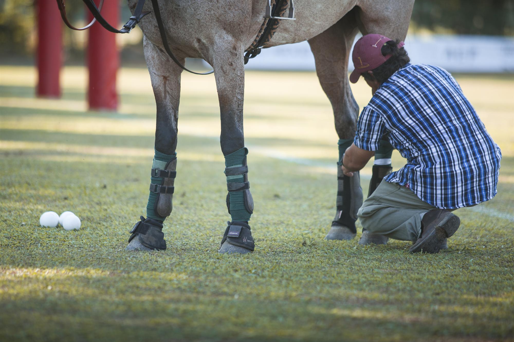 POLO MASTERS TOUR Photos