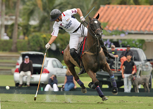 the polo magazine polo photos alex pacheco audi polo team lechuza polo team ipc polo club 2