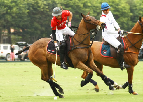 the polo magazine polo photos alex pacheco audi polo team lechuza polo team ipc polo club 4
