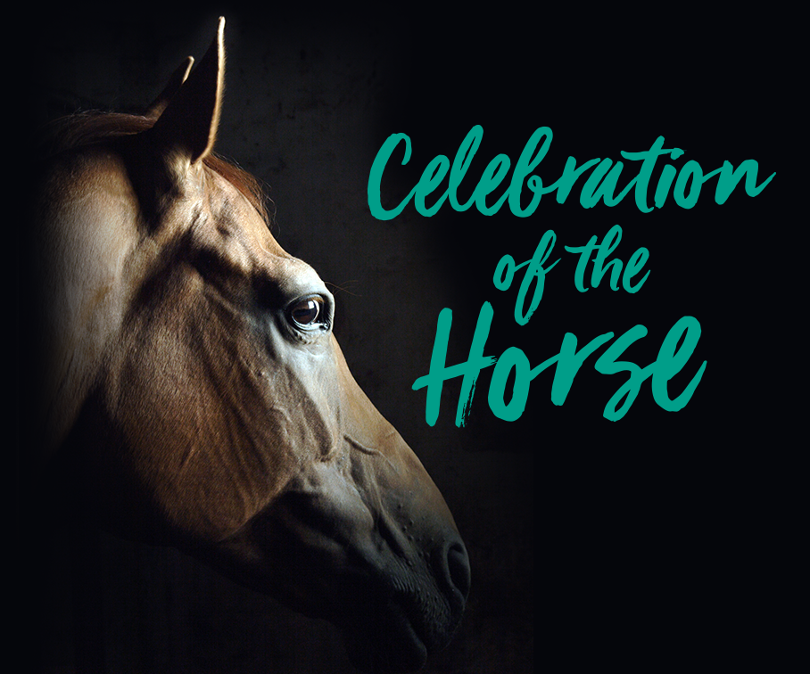 Celebrate Colorado Equestrians June 1 - 3 at Denver Polo Club