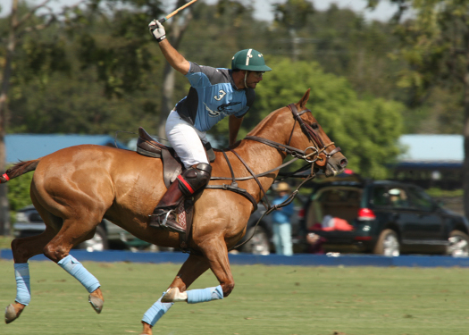 polo photography alex pacecho polo magazinepolo team polo club polo tournament