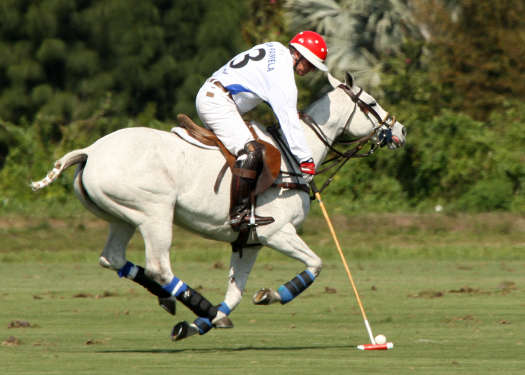 polo photography alex pacecho polo magazinepolo team polo club polo tournament 3