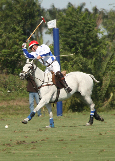 polo photography alex pacecho polo magazinepolo team polo club polo tournament 6