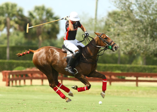 polo magazine the international polo clu 3