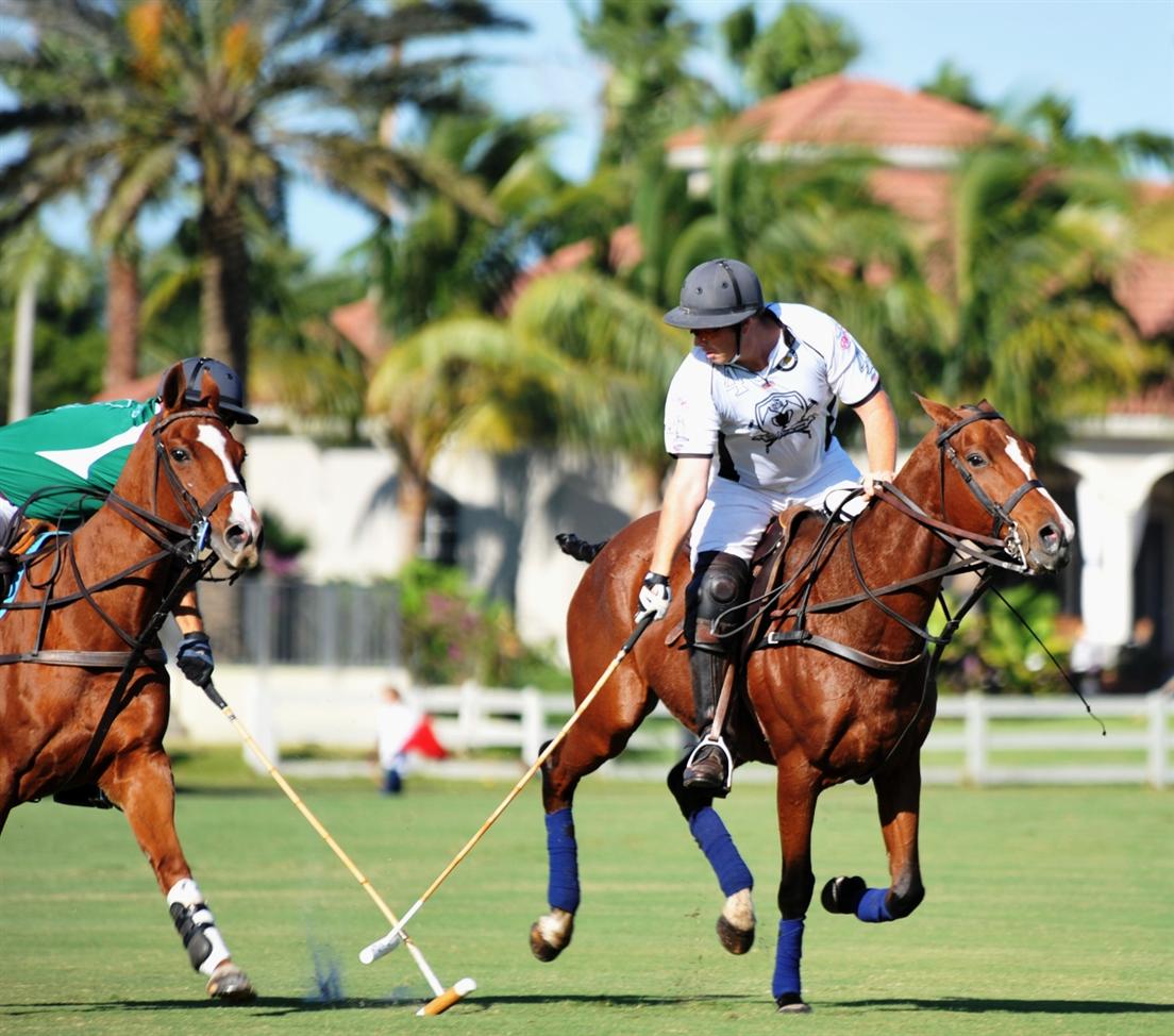 polo newport ami de la mer DSC 4087