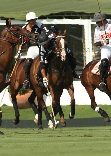 polomagusopensemi zacara erg polo team florida ipc 6