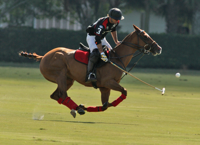polomagazinepachecoPhotos-Bobby Barry Cup Orchard Hill Audipoloteam 4