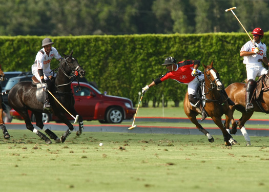 polo magazine US Open polo photos-Alegria ERG polo team 1